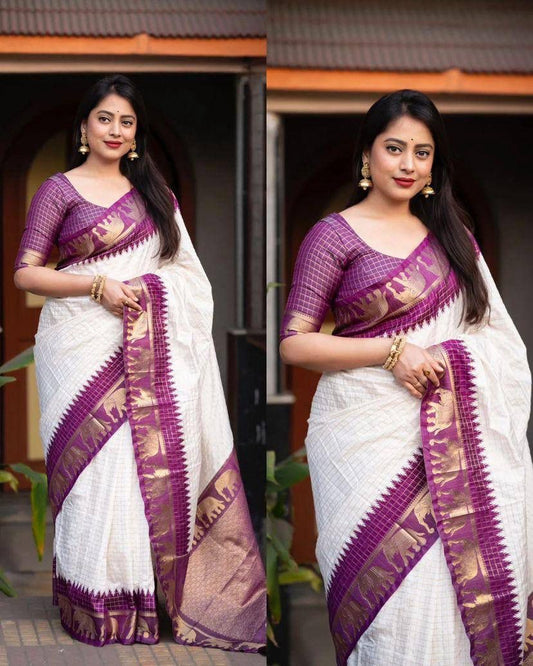 ORGANIC BANARASI SAREE