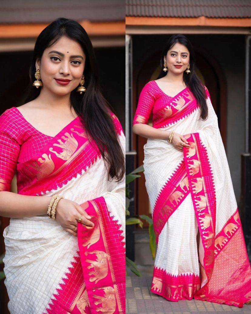 ORGANIC BANARASI SAREE