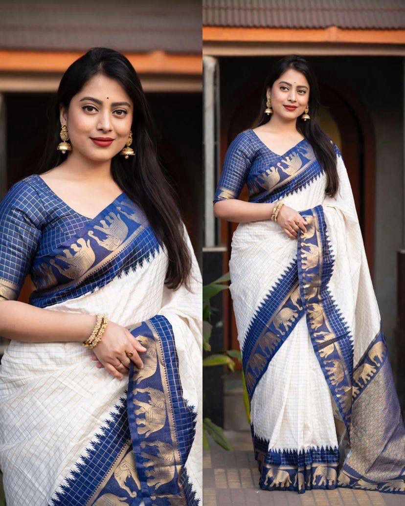 ORGANIC BANARASI SAREE