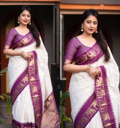 ORGANIC BANARASI SAREE